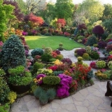 Kako urediti cvjetnjak od trajnica da cvjeta cijelo ljeto